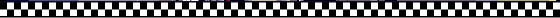 checkered_flag_divider.jpg